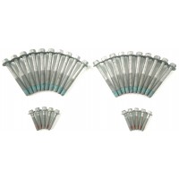 GM LS Short Head Bolts