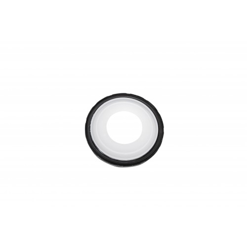 LS Rear Main Seal