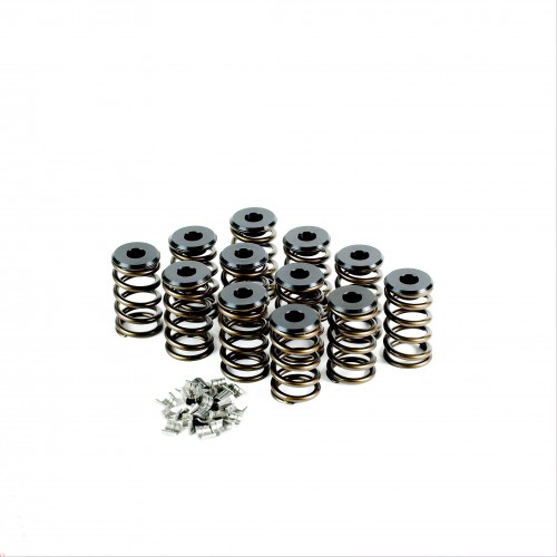 Holden 6cyl Valve Spring Kits
