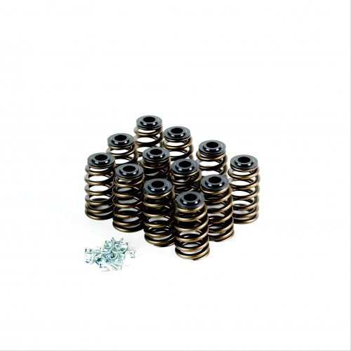 Holden V6 Ecotec Performance Spring Kits