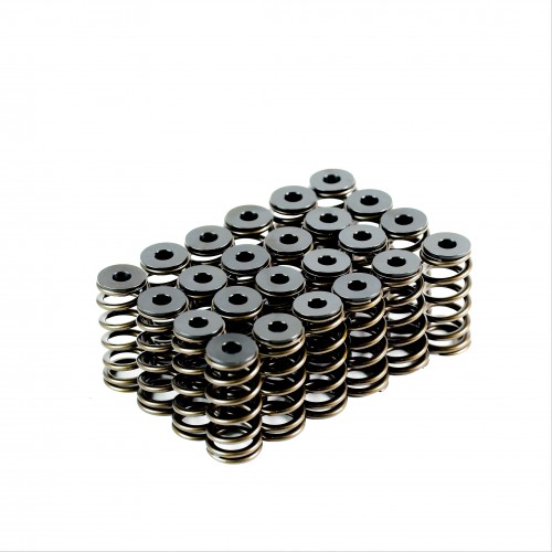 Ford Barra XR6 Spring Kit
