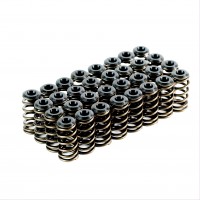 Ford BA XR8 Valve Spring Kit