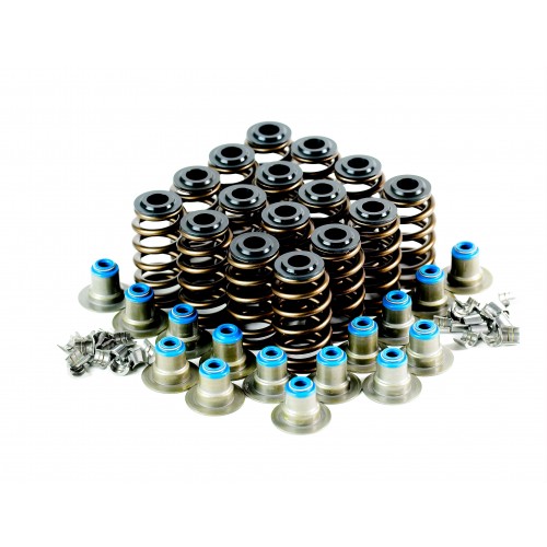 LS1 Single Conical Valve Spring Kit