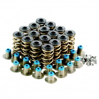LS Dual Valve Spring Kit