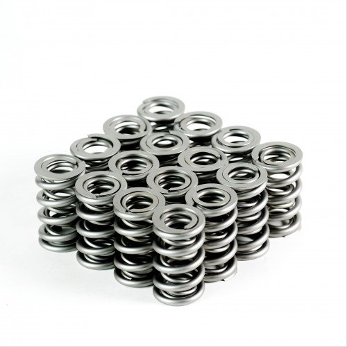 PAC RPM Series - LS Dual Valve Springs