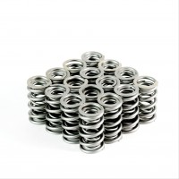 PAC RPM Series<br>LS Dual Valve Springs