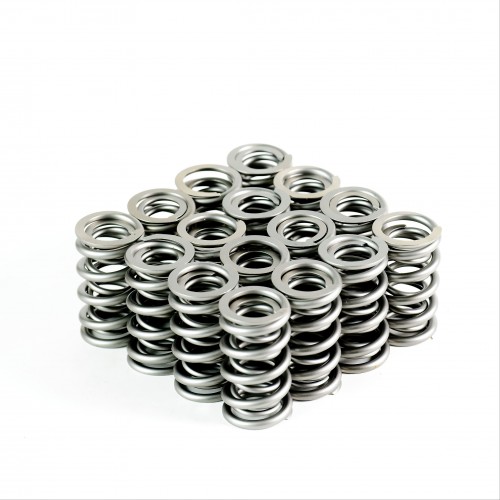PAC RPM Series<br>LS Dual Valve Springs