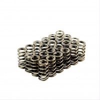 Barra Conical Valve Springs - Set of 24