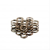 Single Valve Springs - Set of 8