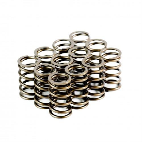 Heavy Duty Single Valve Springs - Set of 12