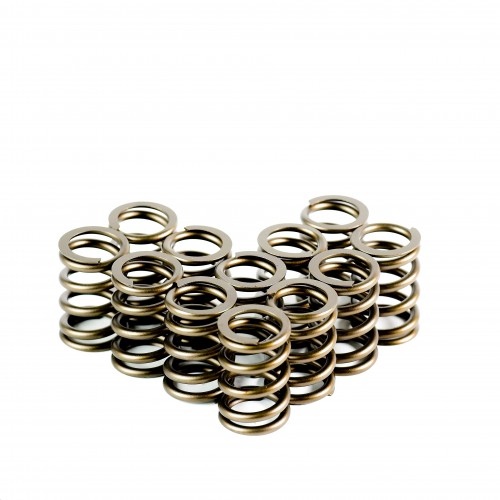 Heavy Duty Single Valve Springs
