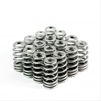 Hemi V8 Conical Springs - Set of 16