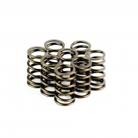 Single Valve Springs - Set of 8