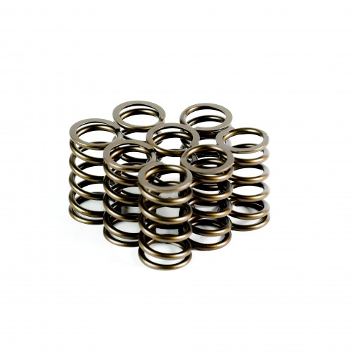 Single Valve Springs - Set of 8