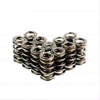 Dual Valve Springs - Set of 12