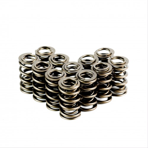 Dual Valve Springs - Set of 12