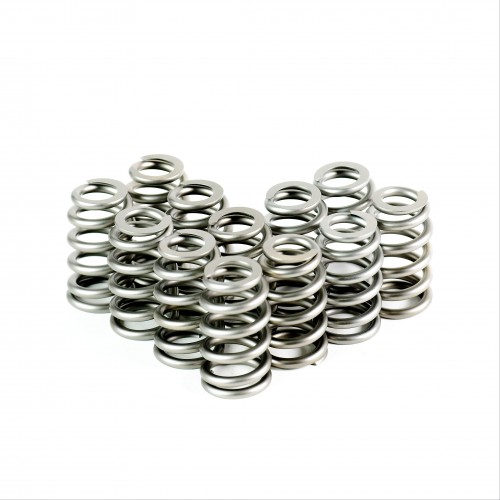 Ecotec PAC Conical Valve Springs - Set of 12