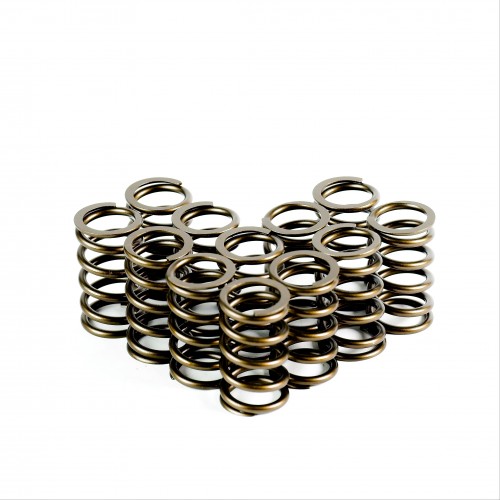 Heavy Duty Single Valve Springs