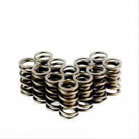Single Valve Springs With Damper - Set of 12