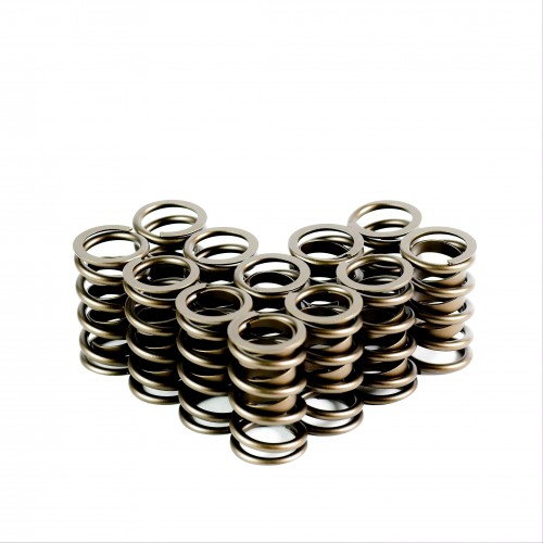 Single Valve Springs With Damper - Set of 12