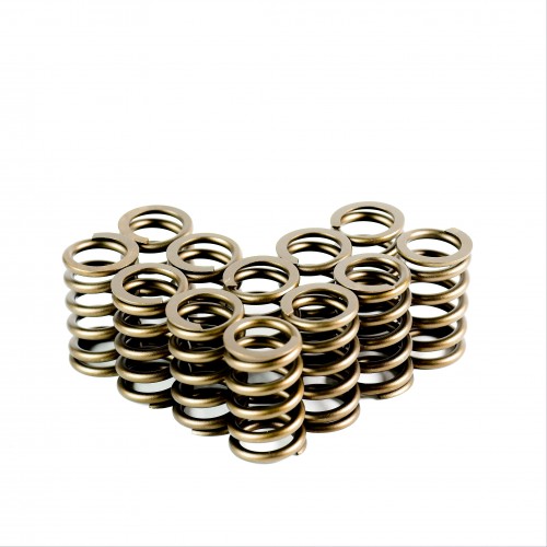 Single Valve Springs - Set of 12
