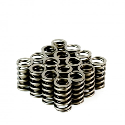 Single Valve Springs with Damper - Set of 16