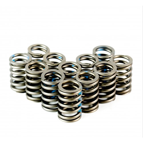 Heavy Duty Single Valve Springs - Set of 12