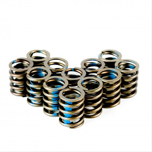 Single Valve Spring with Damper