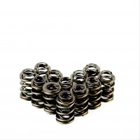Dual Valve Springs