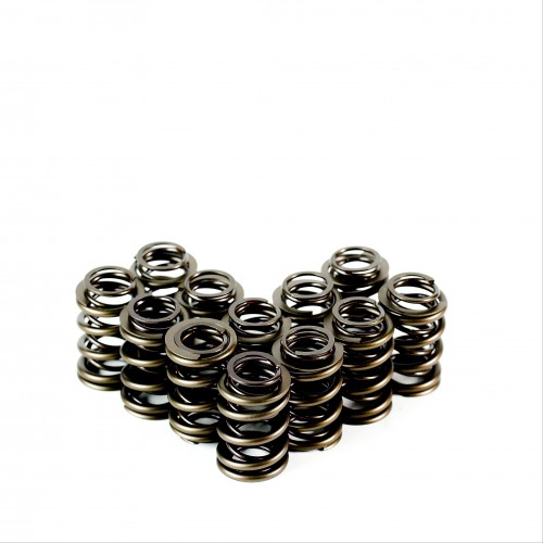 Dual Valve Springs