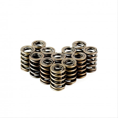High Performance Dual Valve Springs - Set of 12
