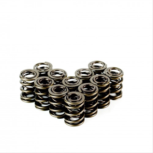 Dual Valve Springs<br>RB30 Standard Replacement