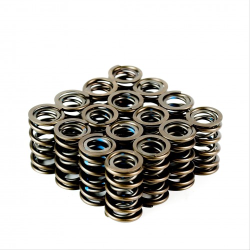 Dual Valve Springs