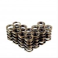 Dual Valve Springs - Set of 12