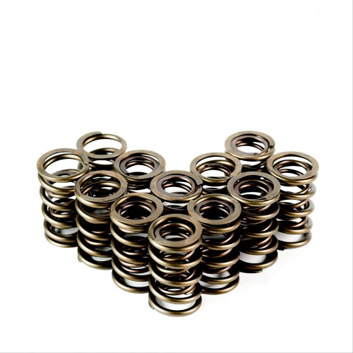 Dual Valve Springs - Set of 12