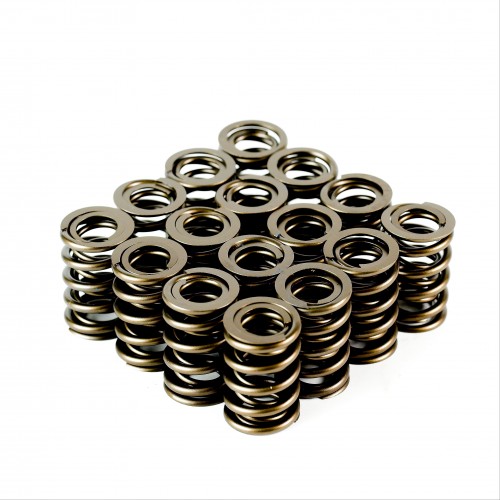Dual Valve Springs