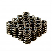V8 Dual Valve Springs