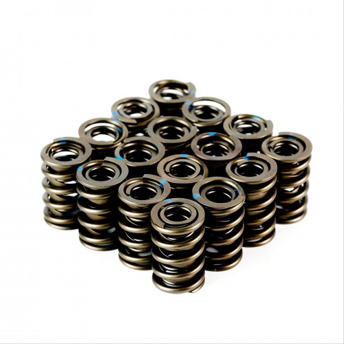 V8 Dual Valve Springs