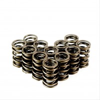 Dual Valve Springs