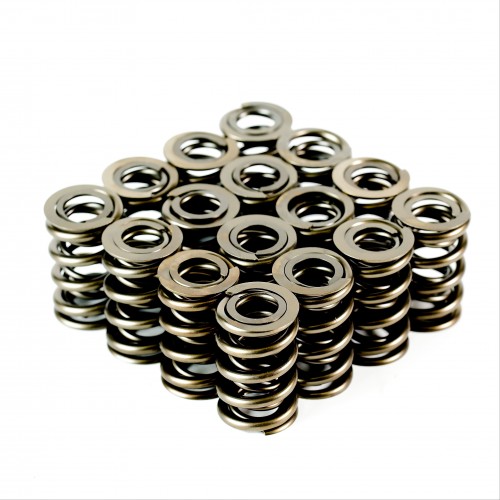 PAC Endurance Dual Spring - Set of 16