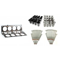 LS1 Lifter Overhaul Kit - Pre 2004