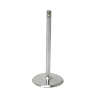 LS3 Intake Valve
