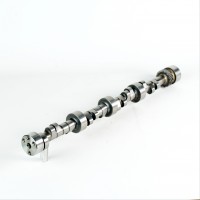 Chev Small Block Roller Custom