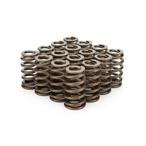 Performance Dual Valve Springs - Set of 16